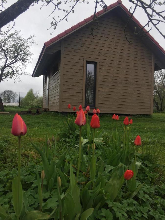 Holiday House Ausekla Namins Cēsis 외부 사진