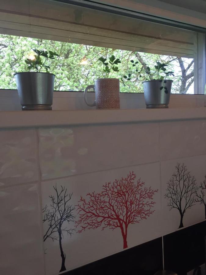 Holiday House Ausekla Namins Cēsis 외부 사진